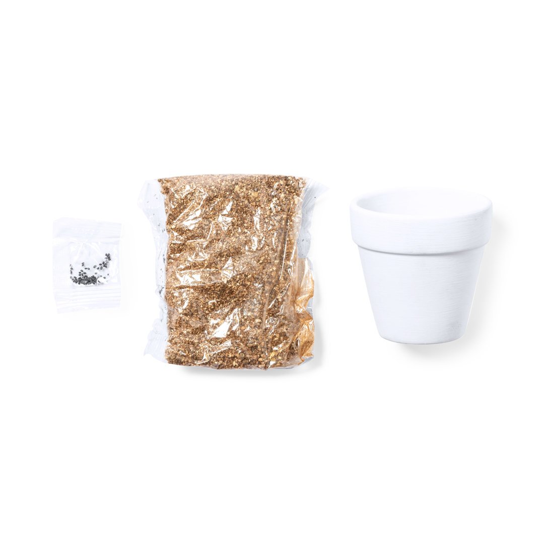 Maceta Konte - Imagen 2