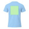 Area 7
